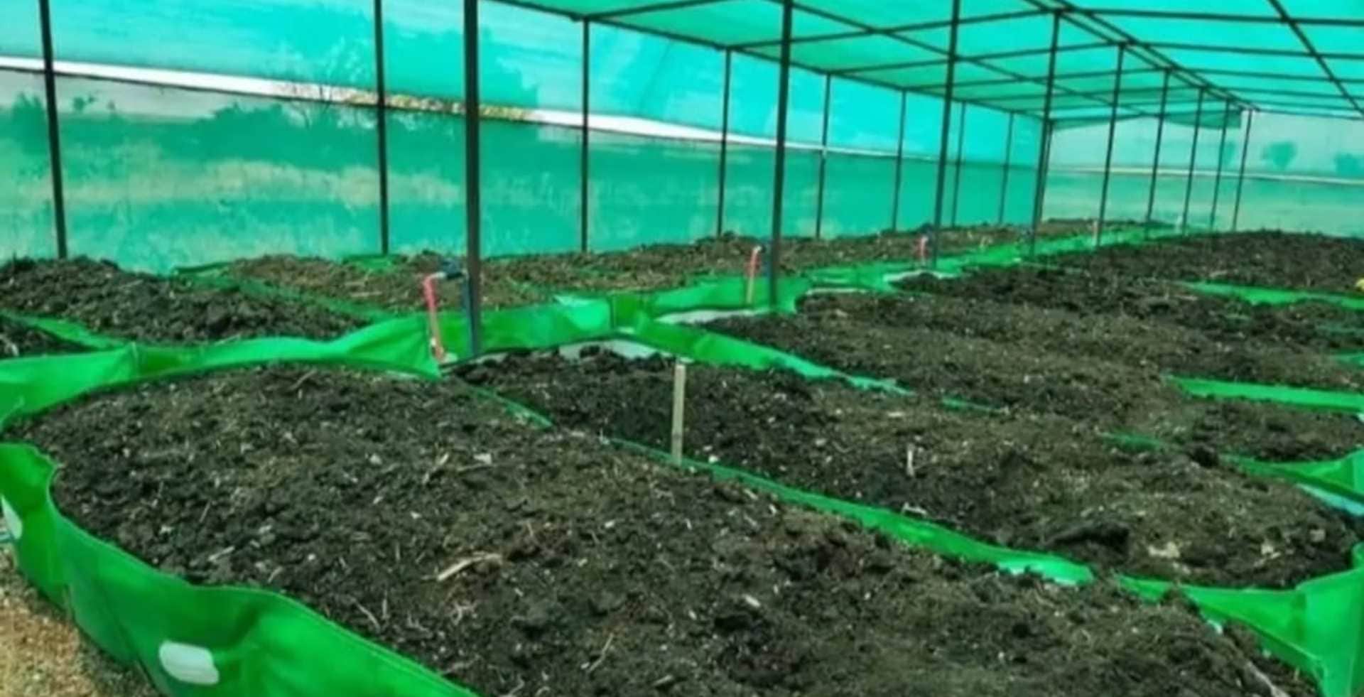 नालंदा में बायोगैस-वर्मी कंपोस्ट पर सरकार देगी सब्सिडी