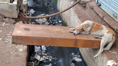 स्लैब पर जिंदगी