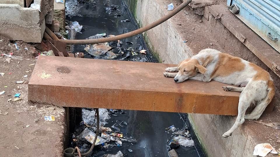 Residents Cross Five-Foot-Deep Drain on One-Foot Slabs, Agra UP