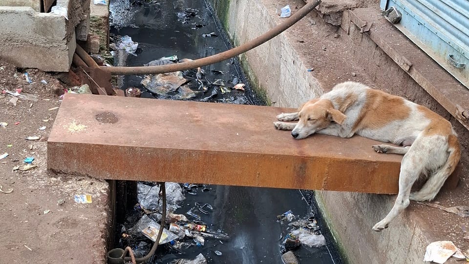 स्लैब पर जिंदगी