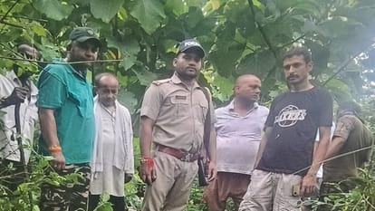 बग्गा चौवन में गाभिन गाय को बाघ ने मार डाला