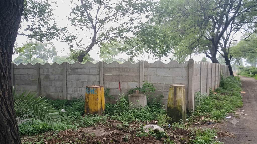 Bada Talab still under encroachment: 7 NGT orders ineffective, action put on the back burner, preparations und