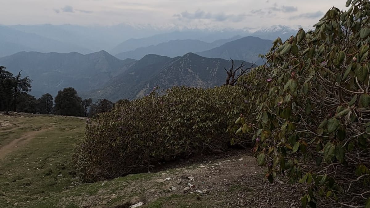 मिनी स्विट्जरलैंड: खूबसूरती पर प्लास्टिक का खतरा, चोपता से तुंगनाथ तक बुग्यालों में पहुंच रहा है कचरा