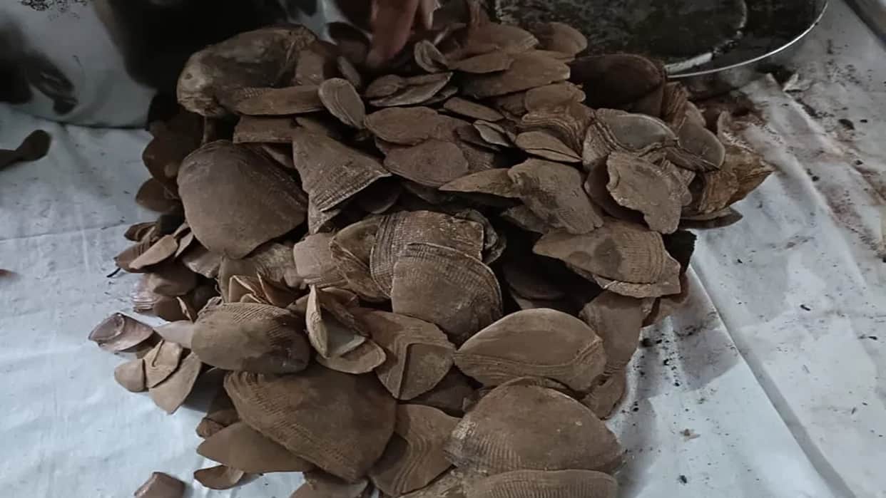 Pangolin scales found in Naxal dump; seized.