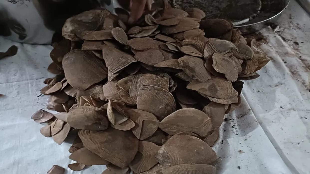Pangolin scales found in Naxal dump; seized.
