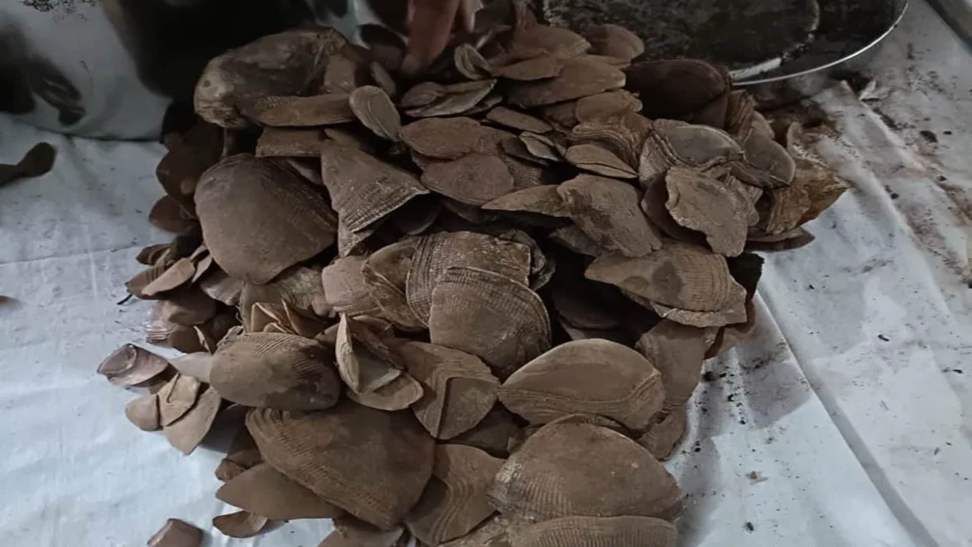 पुलिस ने जब्त किया छाल