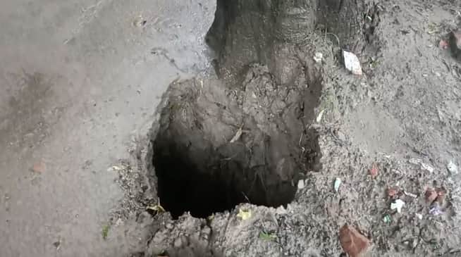 Kanpur Seven feet of ground suddenly caved in creating a deep pit near a neem tree