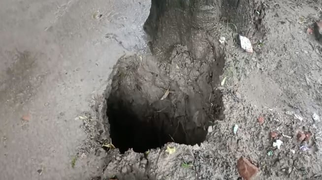 Kanpur Seven feet of ground suddenly caved in creating a deep pit near a neem tree