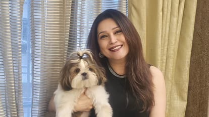why Niki Walia left bollywood and choose television explain the reasong
