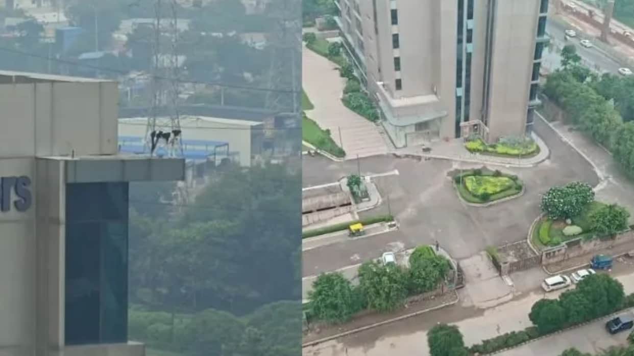Stray Dog Trapped on 12th Floor in Gurugram Fire Team Launches Dramatic Rescue