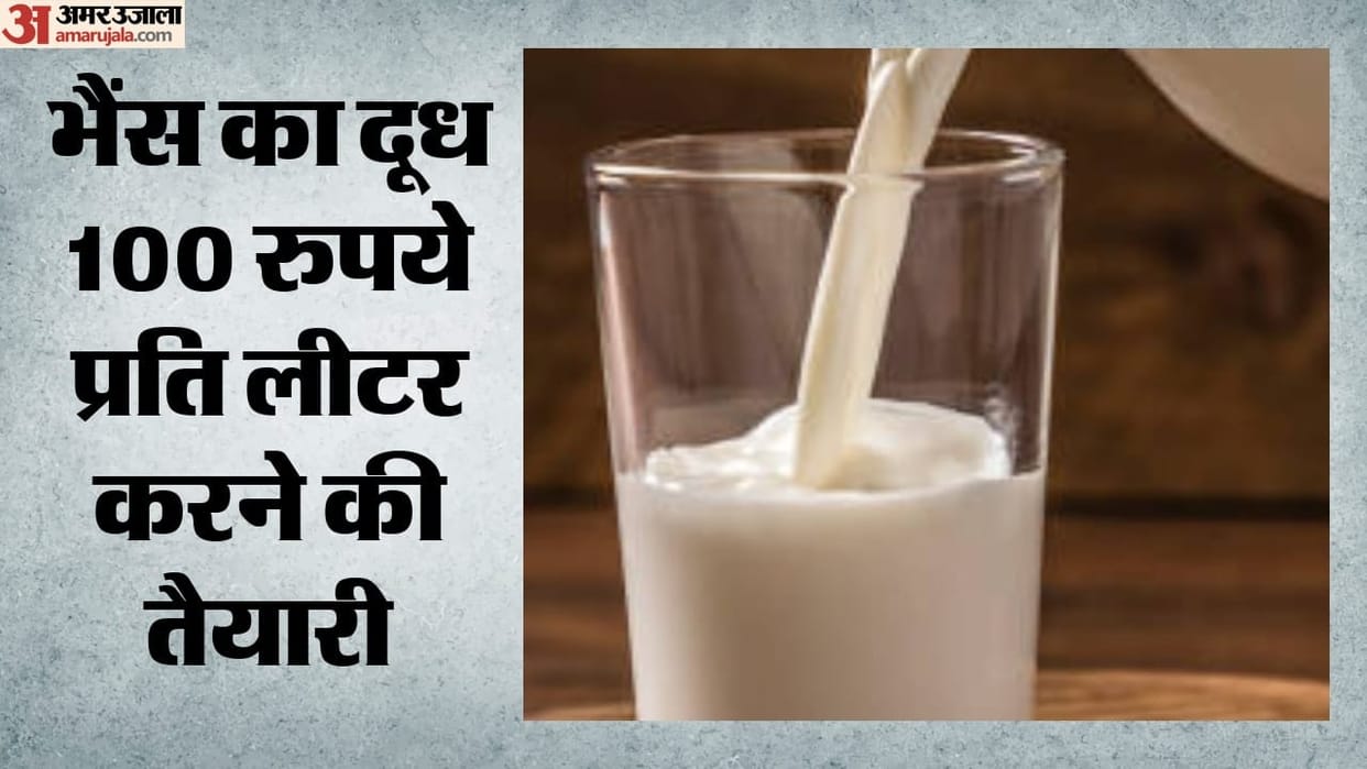Preparations underway to set the price of buffalo milk at ₹100 per litre in Haryana