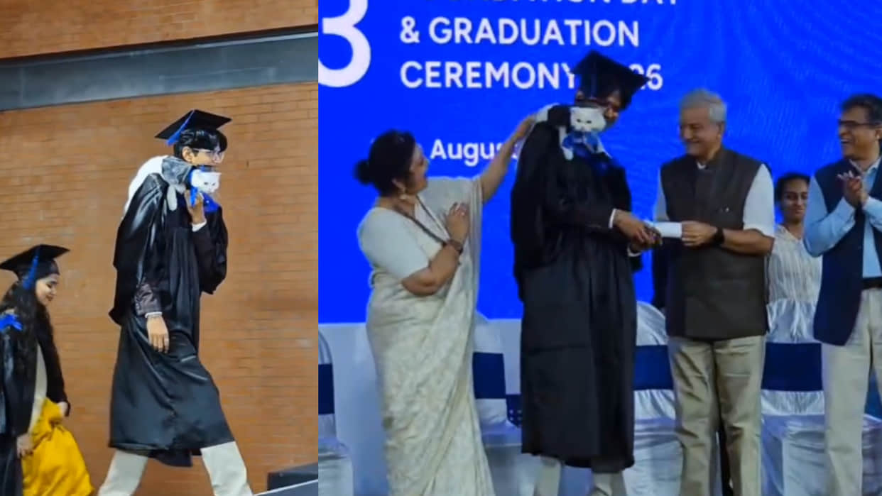 Student graduate collects degree with pet cat on shoulder viral video