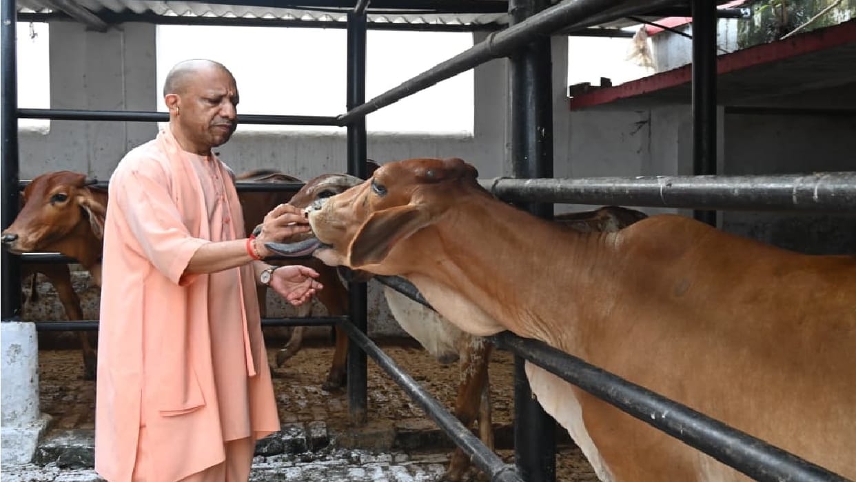 CM Yogi listened to people s grievances at Janata Darshan