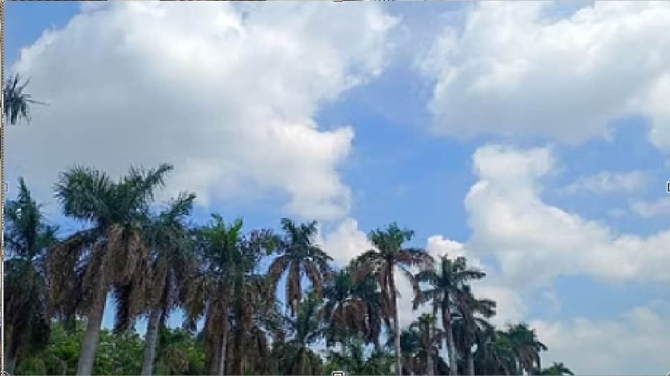 पंजाब में कमजोर पड़ा मानसून