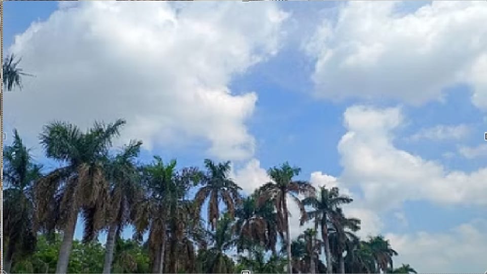 पंजाब में कमजोर पड़ा मानसून