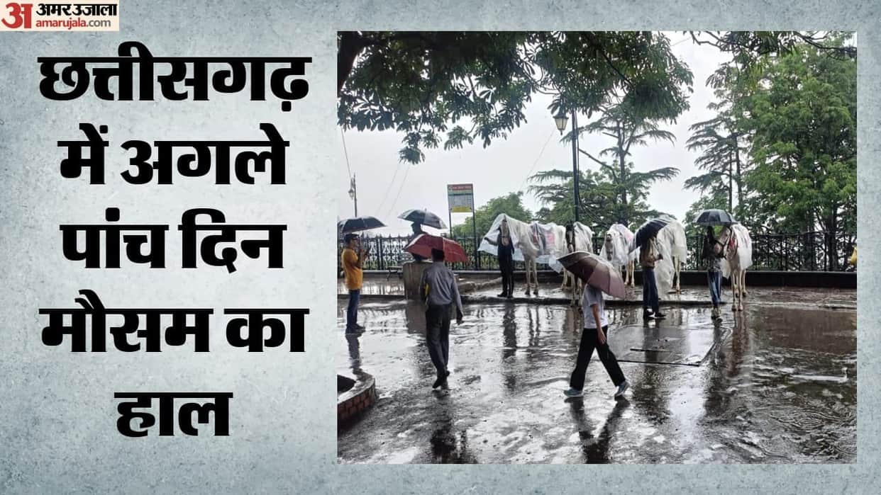 chhattisgarh weather alert heavy rain korba waterlogging mainpat river accident