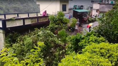 सड़क पर गिरे पेड़