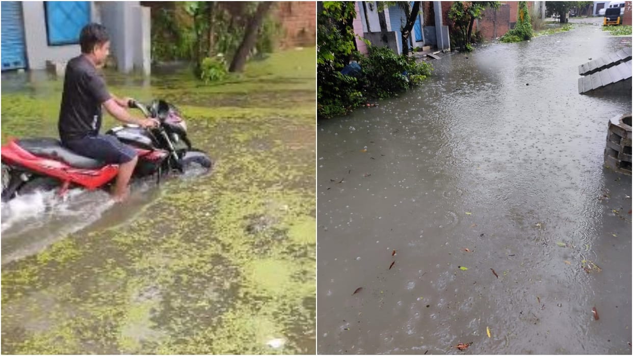 People in Maitribag Colony in Pilibhit are troubled by waterlogging