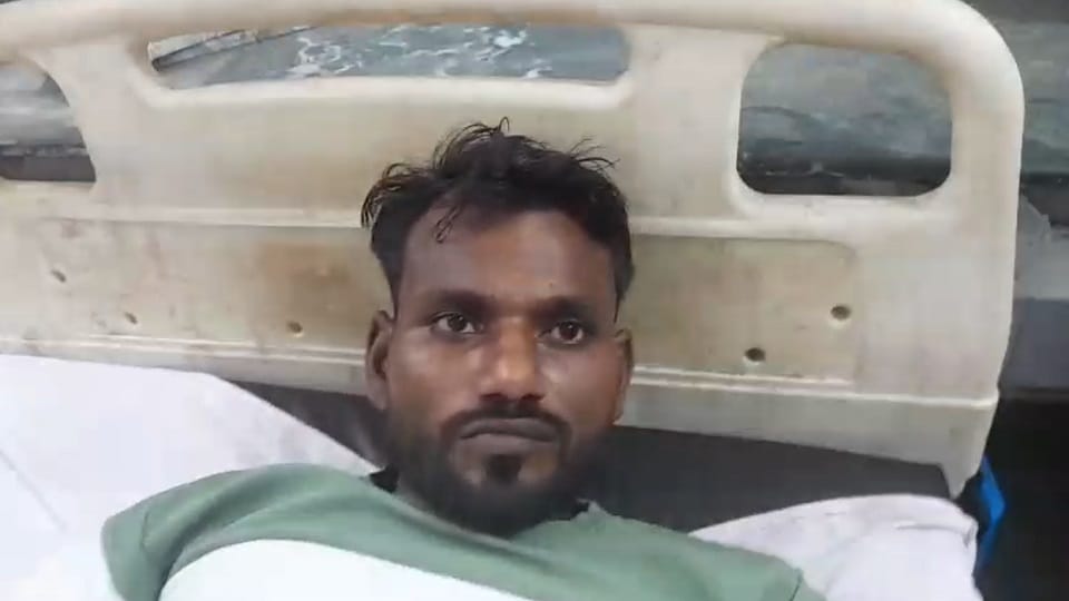 Hyena attacks in Sannpura village Sunil saves his life by showing courage cousin also has a narrow escape in A