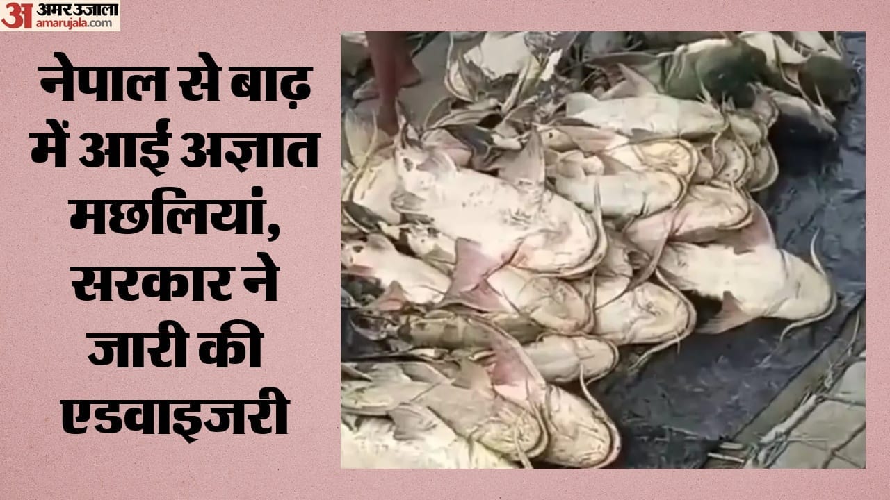 nepal-flood-unknown-fish-reached-bihar-government-advisory