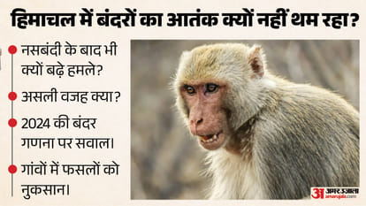 हिमाचल में बढ़ती बंदरों की समस्या।