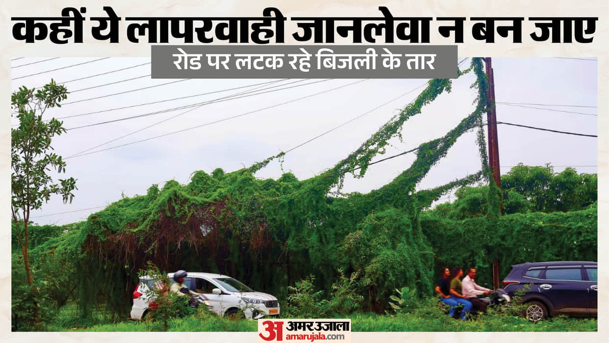 indore-news-khandwa-road-tree-branches-power-lines-hazard