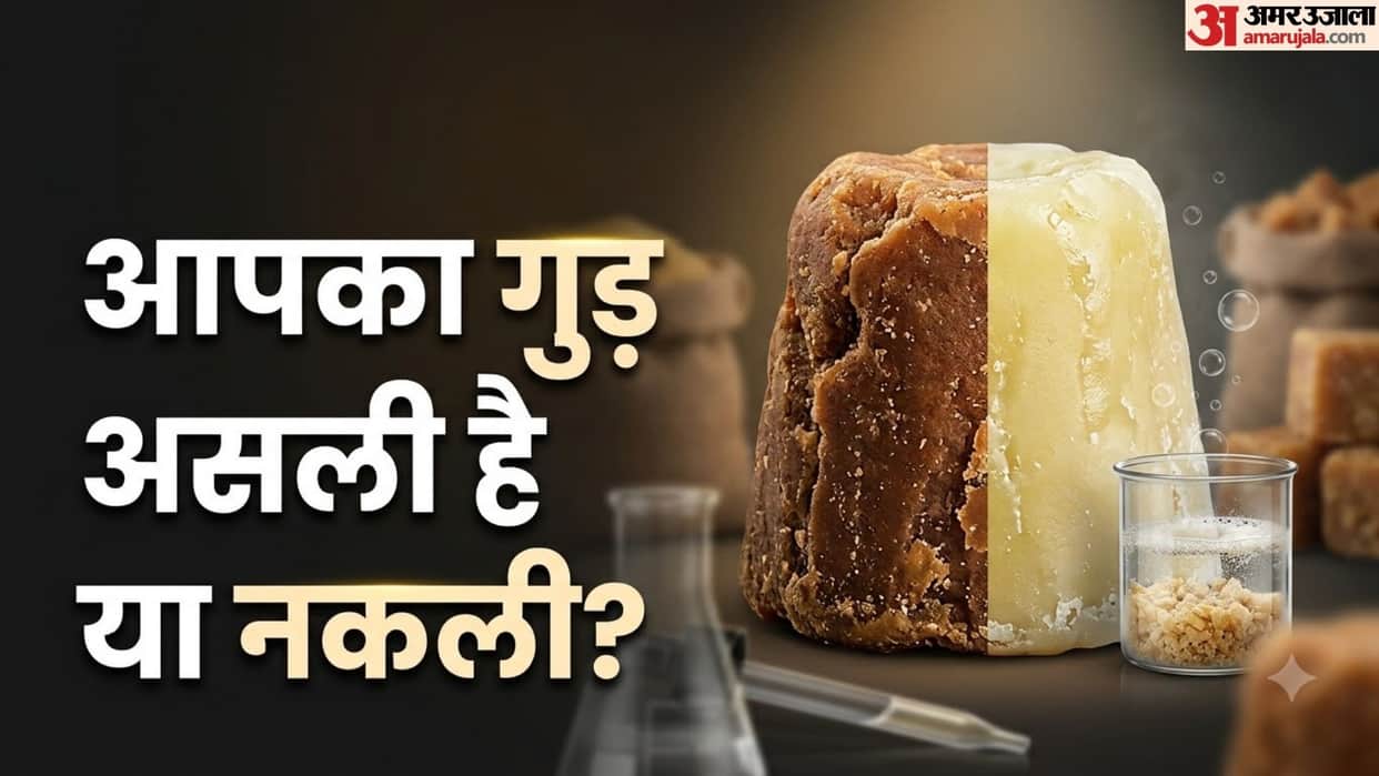 Are You Eating Fake Jaggery? Check Purity Instantly at Home with FSSAI's Simple Methods and Guidelines