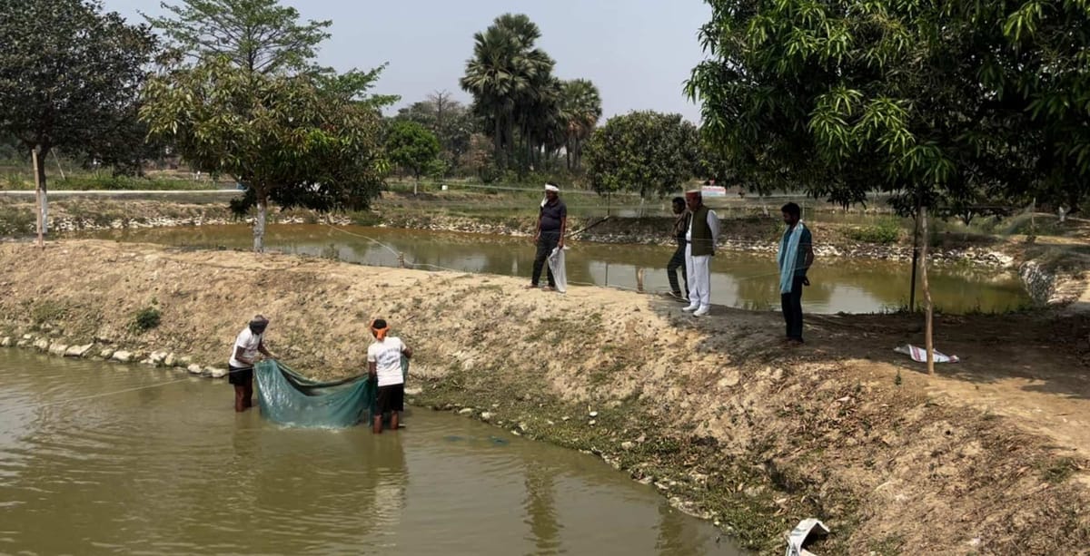 बिहार: नालंदा में 361 सरकारी जलकरों की होगी नीलामी, जून 2027 तक मिलेगा पट्टा; 15 सितंबर से शुरू होगी प्रक्रिया