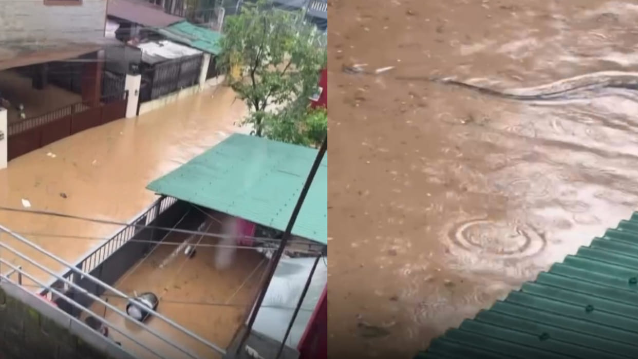 Nepal flood a giant python spotted in flooded residential area viral goes viral on internet