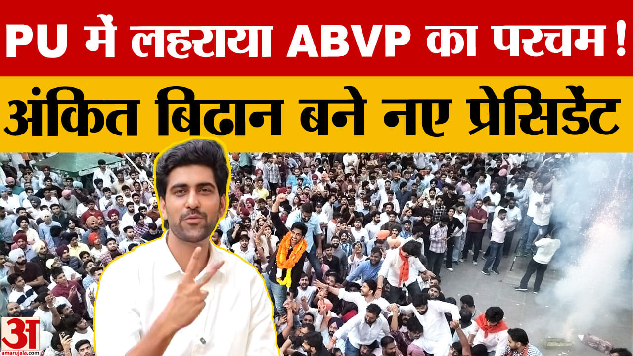 PU Student Election Result 2026: ABVP के अंकित बिढान जीते अध्यक्ष पद का चुनाव, मिले 2879 वोट