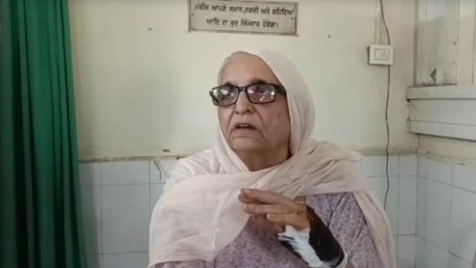 Stray dog attacked old woman in Moga