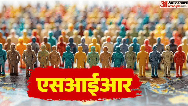 Draft SIR list released in Delhi 47.7 lakh names excluded learn how to check names online