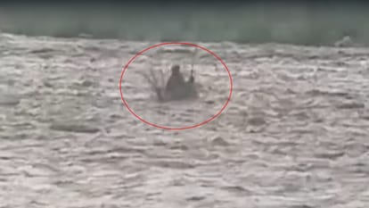 बर्मा पापड़ी में नदी के बीच फंसे दो लोग।