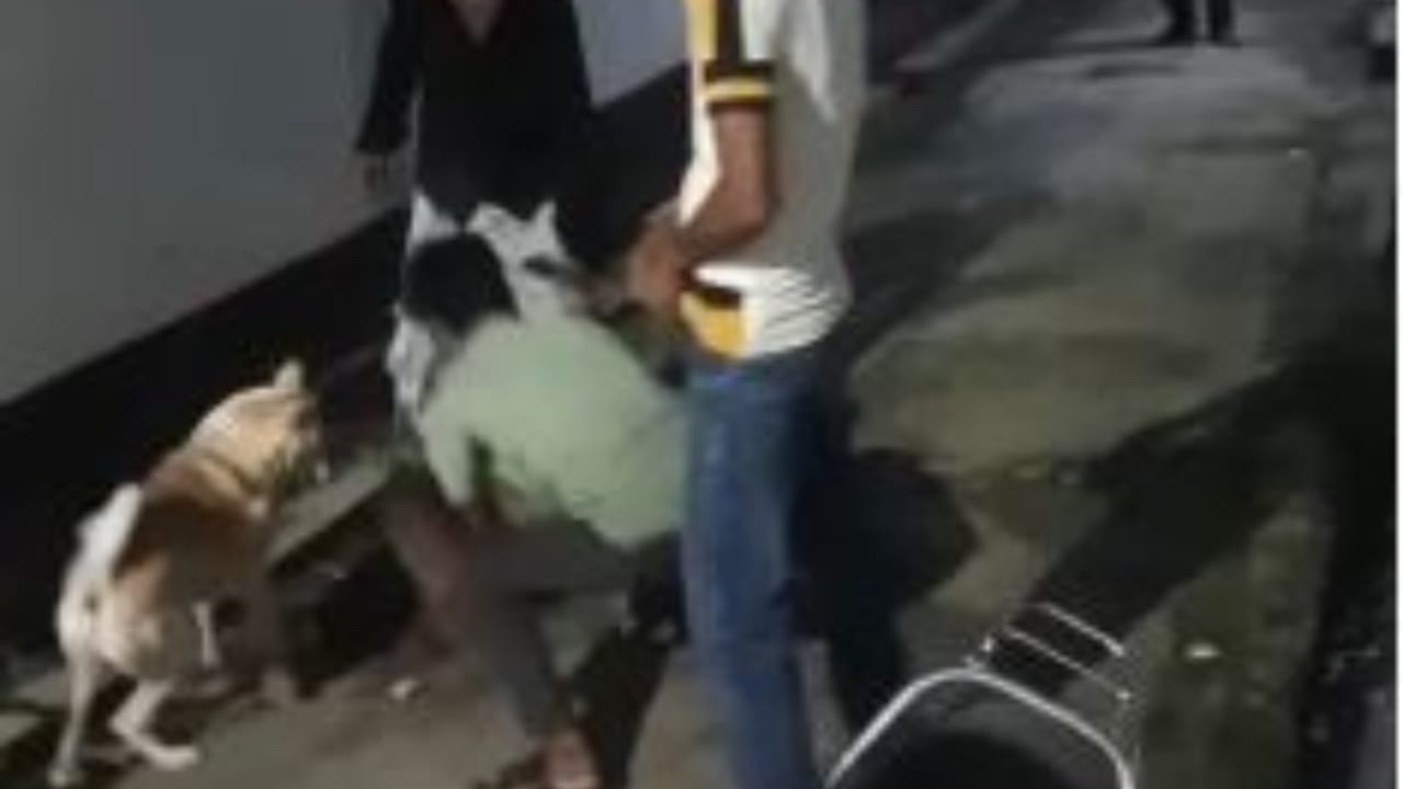 युवक ने ईंट से कुत्ते को मारा