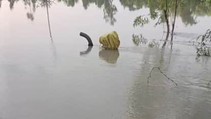 खेतों में भरा बाढ़ का पानी