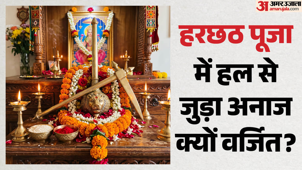 Hal Shashthi 2026 Know Why Plough-Grown Crops Are Avoided During Harchhat Vrat Know the niyam