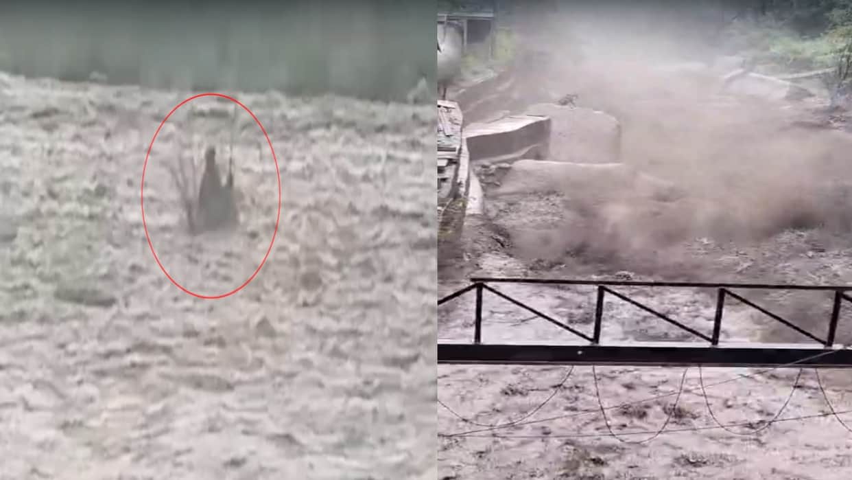 Heavy rain in Himachal: Bridge washed away by floods in Rampur's Kut Khad; two people stranded in a river in S