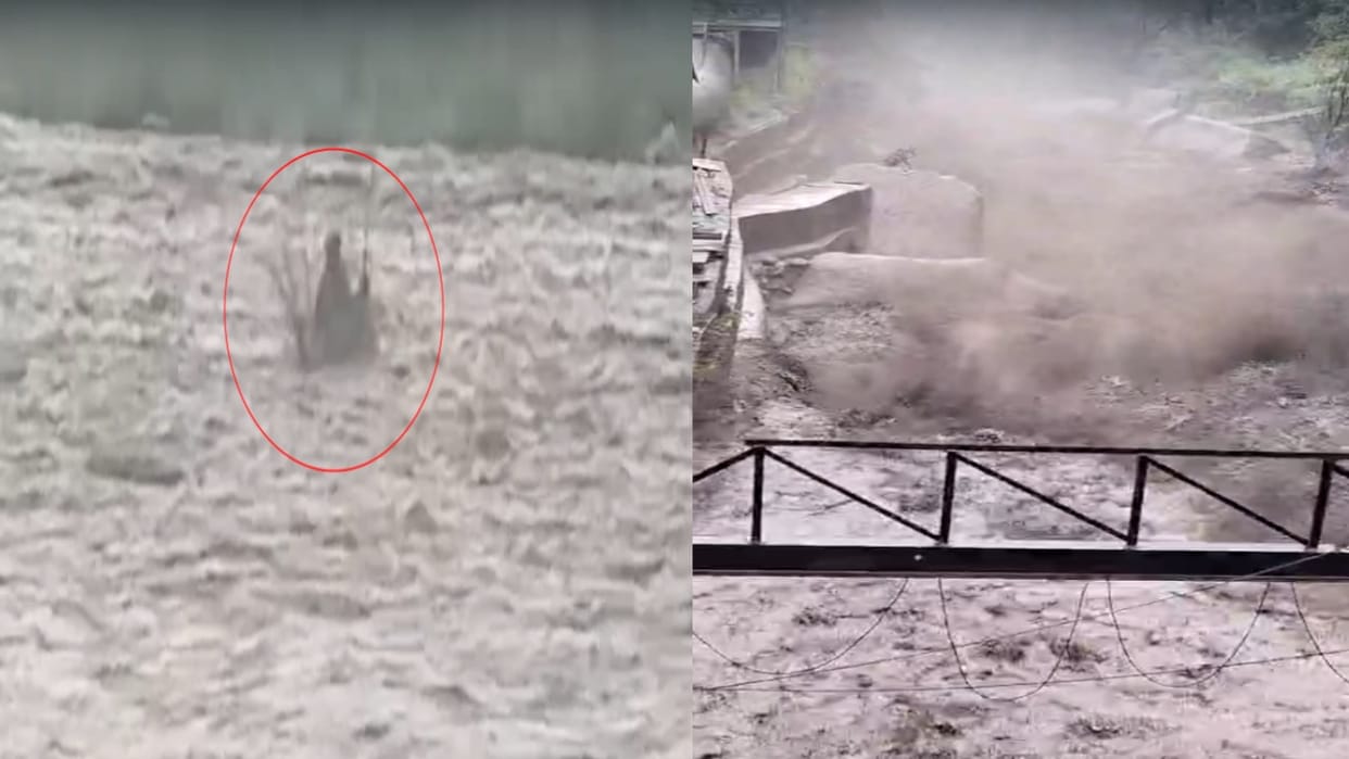 Heavy rain in Himachal: Bridge washed away by floods in Rampur's Kut Khad; two people stranded in a river in S