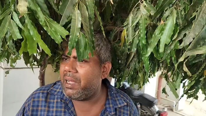 Class 11 student jumps from school roof in Faridabad dies
