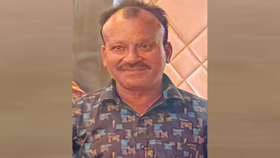 Kanpur: Salesman and cow killed after car hits scooter