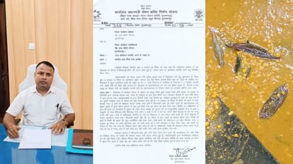 मिड-डे मील मामले की जांच के निर्देश