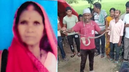 मृत महिला की फाइल फोटो व सांप को बाहर निकालकर दिखाता सपेरा