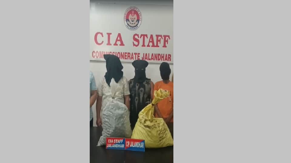 Three accused arrested with charas in Jalandhar