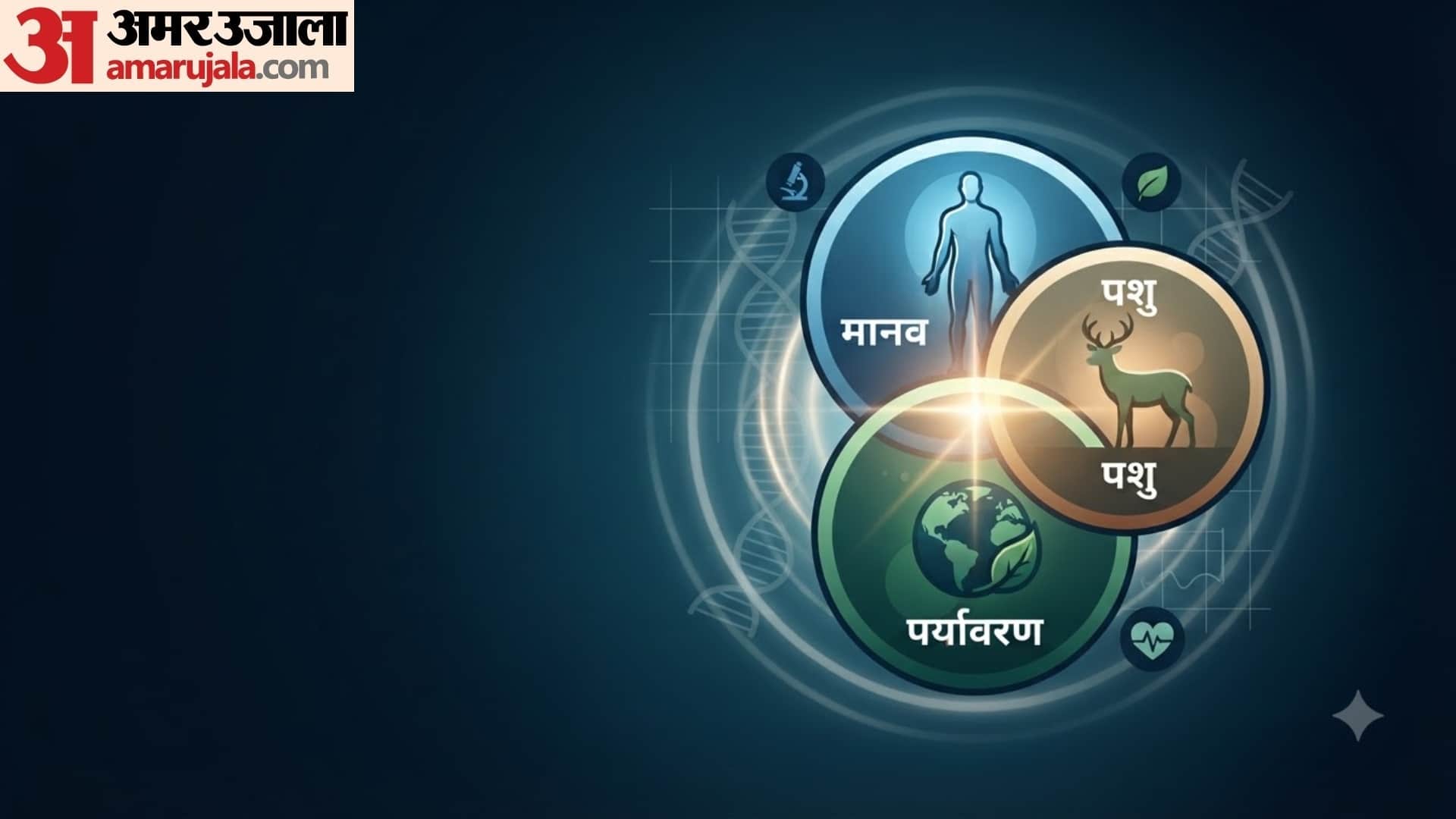वन हेल्थ अप्रोच क्या है?