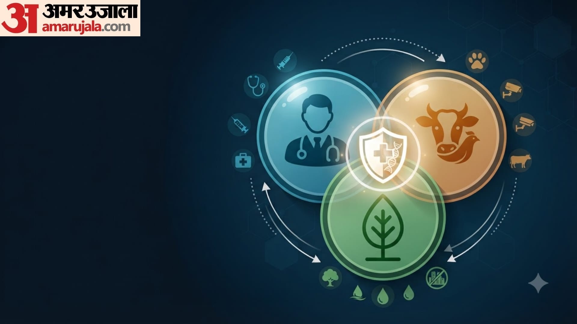 what is one health approach in hindi zoonotic disease prevention tips in hindi