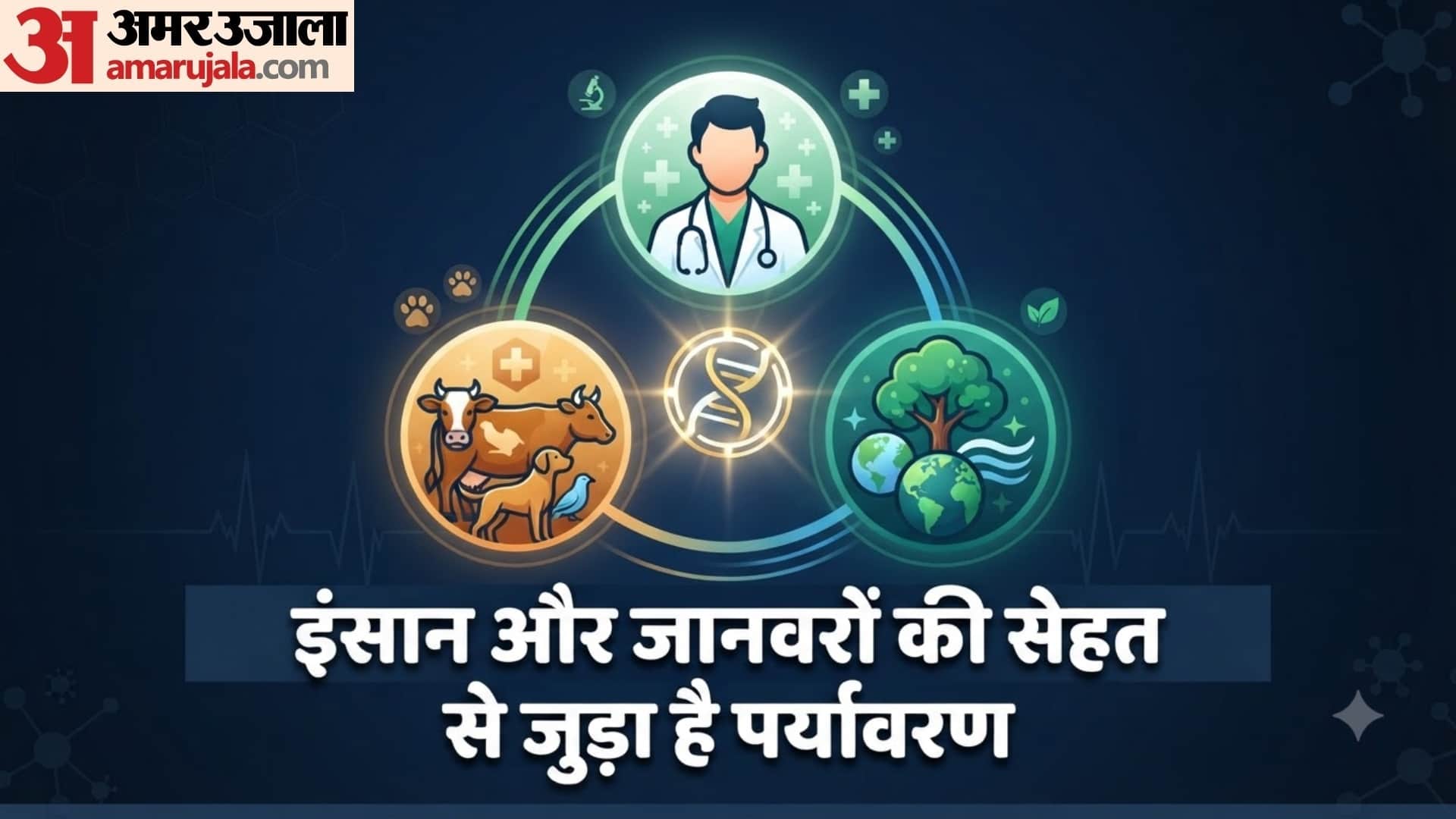 वन हेल्थ अप्रोच क्या है?