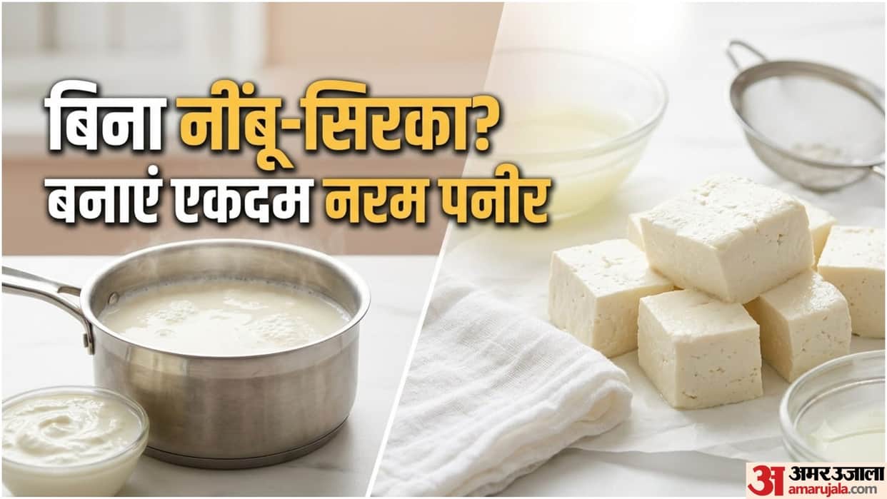 Homemade Paneer Recipe: Make Fresh, Soft Paneer Without Lemon or Vinegar