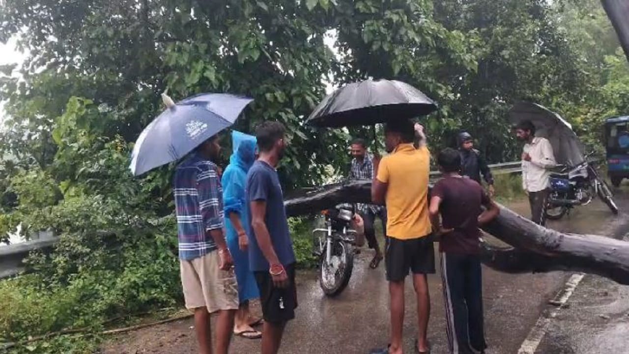 Heavy rain in Pilibhit Farmer dies due to tree falls flood threat looms as rivers swell