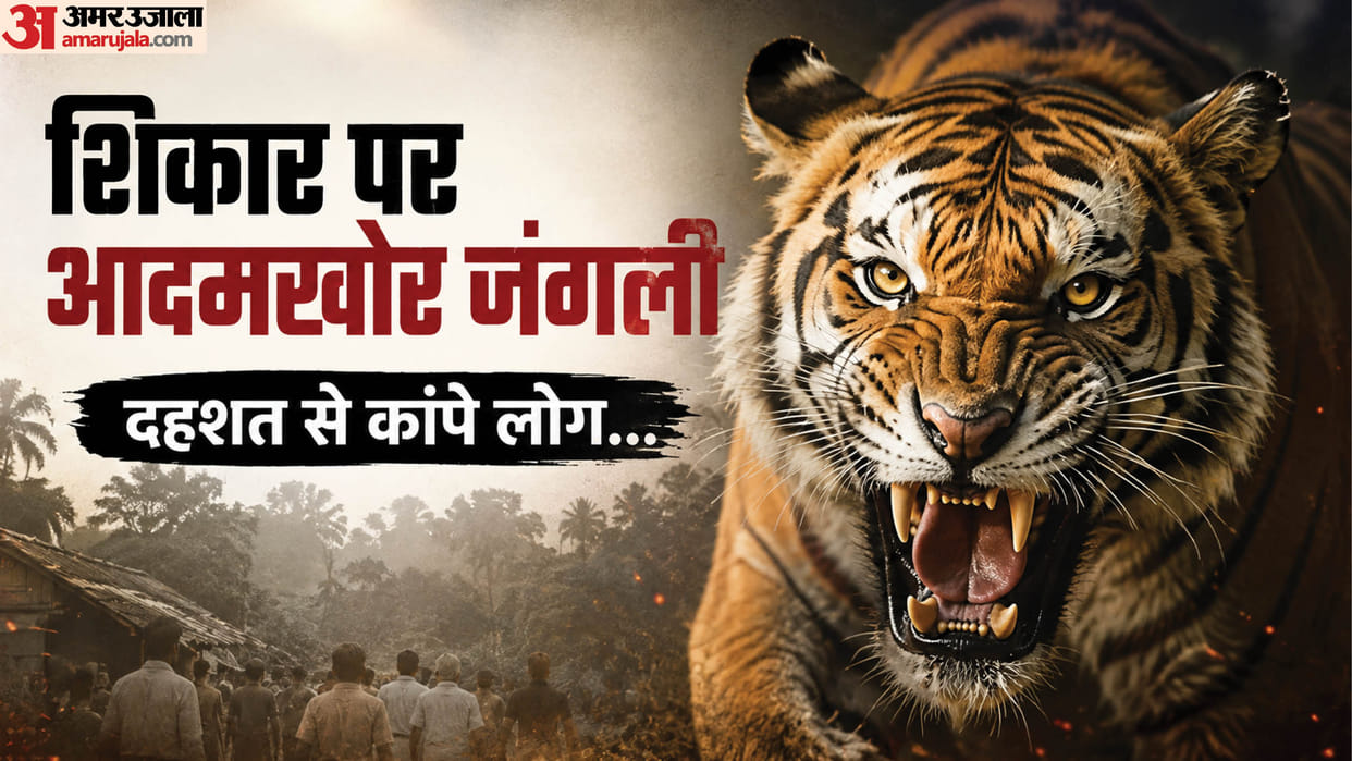 tiger mauled young man to death in Bahraich leaving body behind after devouring flesh from thighs and abdomen