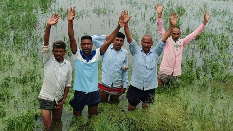 Moradabad: Paths Submerged and Fodder Ruined in Siraswan Gaud; Commuters Create Uproar on Highway
